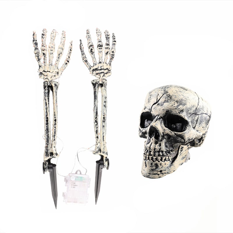 Halloween decorative skulls